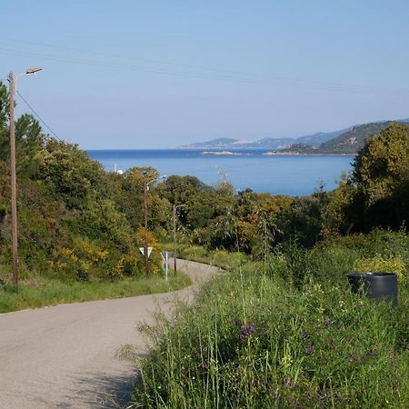 Narval Gris Διαμέρισμα Calcatoggio  Εξωτερικό φωτογραφία