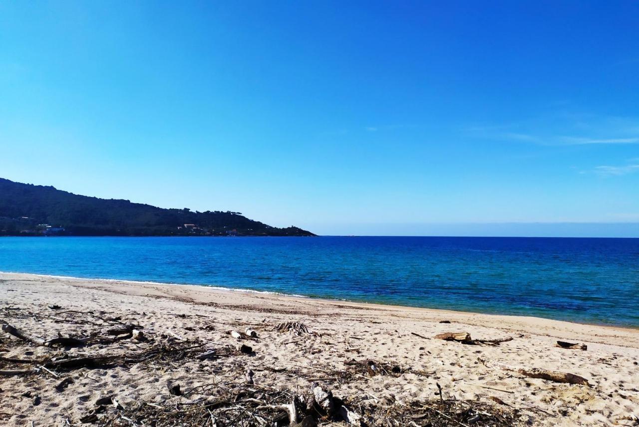 Narval Gris Διαμέρισμα Calcatoggio  Εξωτερικό φωτογραφία