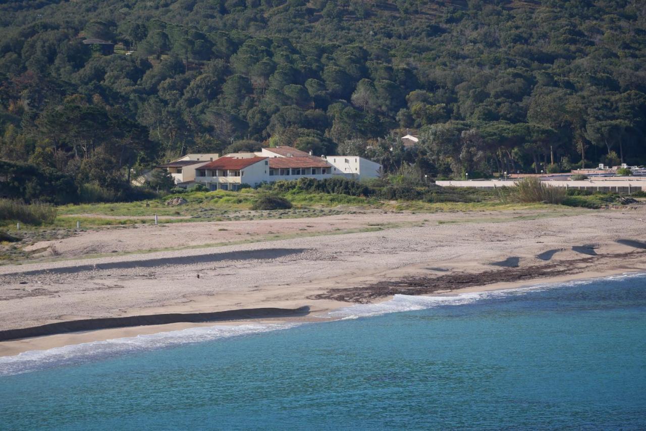 Narval Gris Διαμέρισμα Calcatoggio  Εξωτερικό φωτογραφία
