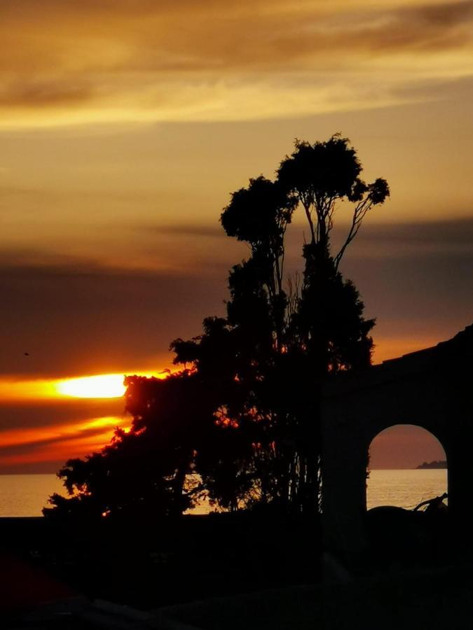 Narval Gris Διαμέρισμα Calcatoggio  Εξωτερικό φωτογραφία